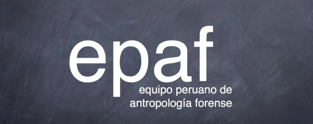 EPAF renews its call for the creation of an investigatory commission for Bagua More than two weeks after the tragic events that occurred in Bagua on June 5th, EPAF is joining the United Nation’s Special Rapporteur on the situation of human rights and...