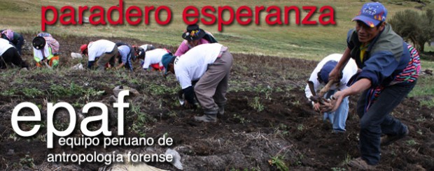 En emotiva cosecha, comuneros ayacuchanos celebraron el día de la papa peruana. En una ceremonia llena de alegría y confraternidad, pobladores de la comunidad ayacuchana de Putis, azotada por la...